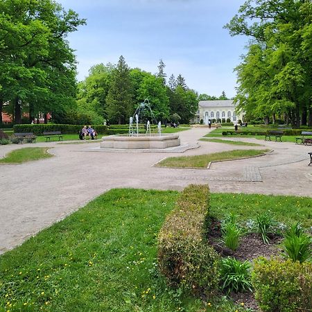 Villa Klara Cieplice Еленя-Гура Экстерьер фото